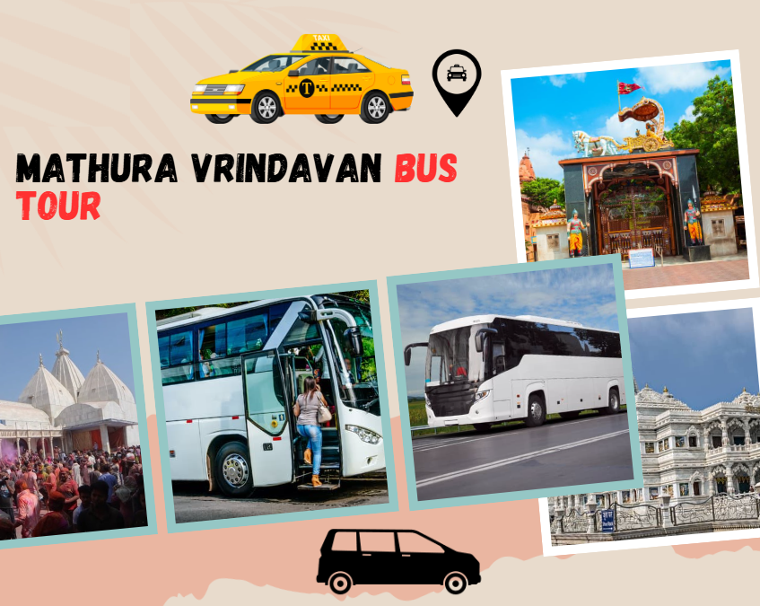 Best Travel Agency