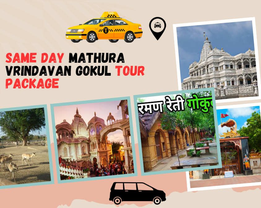 Best Travel Agency